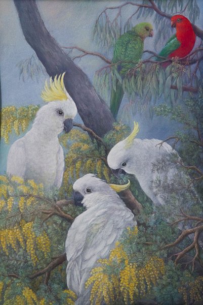 Browsing.jpg - Browsing