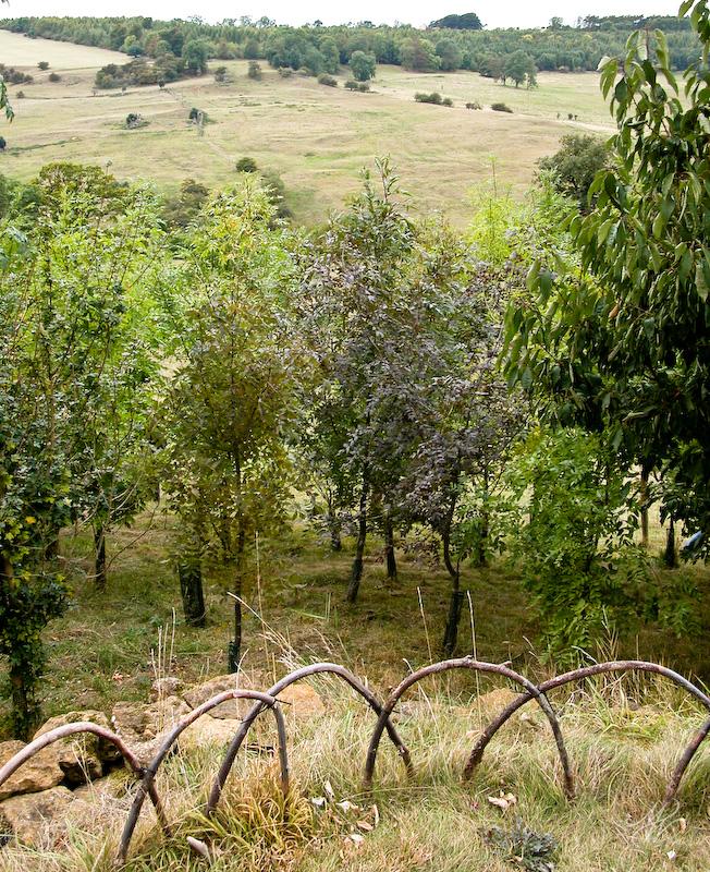 Snowshill-2983.jpg - At Snowshill Manor